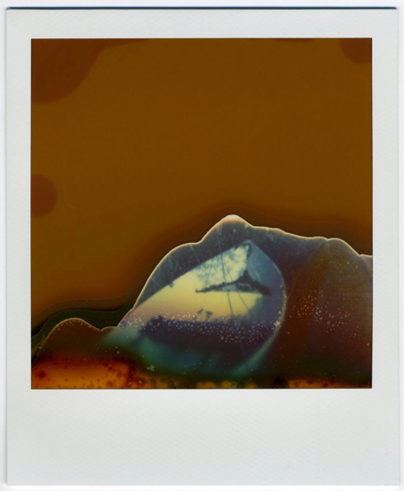 Polaroid3.jpg